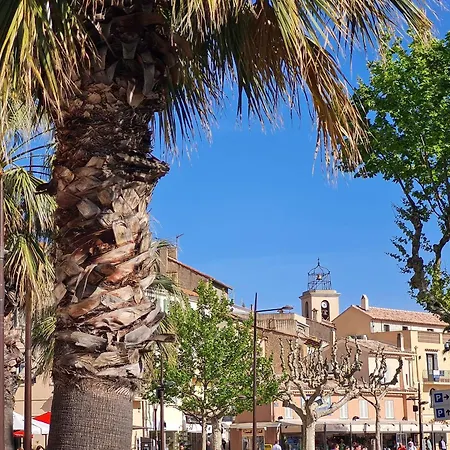 Avec Piscine, Parking Privatif, Loggia Et Acces A Pied - - Fr-1-226-534 * Sainte-Maxime