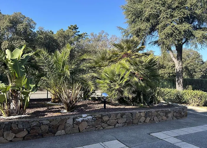 Avec Piscine, Parking Privatif, Loggia Et Acces A Pied - - Fr-1-226-534 Apartman