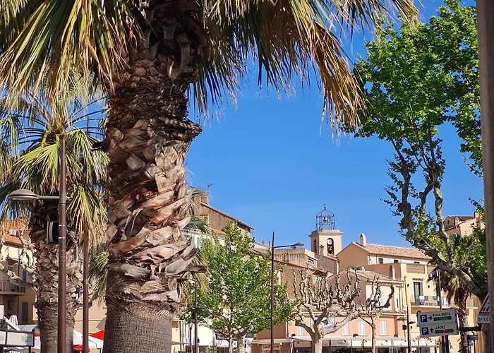 Avec Piscine, Parking Privatif, Loggia Et Acces A Pied - - Fr-1-226-534 * Sainte-Maxime