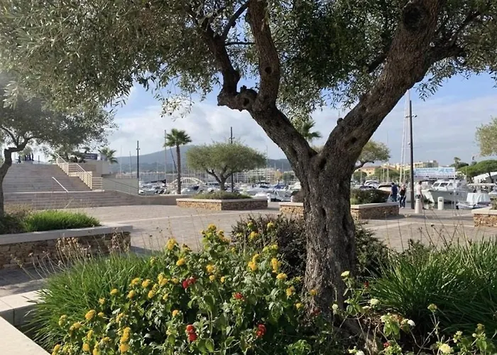 Avec Piscine, Parking Privatif, Loggia Et Acces A Pied - - Fr-1-226-534 Sainte-Maxime